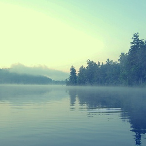 夏晴子被爆操黄色插网站
