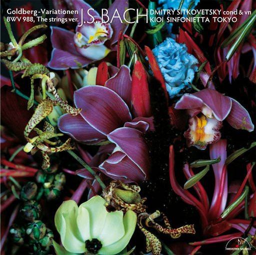 夏晴子被爆操黄色插网站
